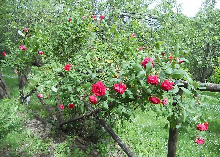 Monpoupon فندق مبيت وإفطار 3*