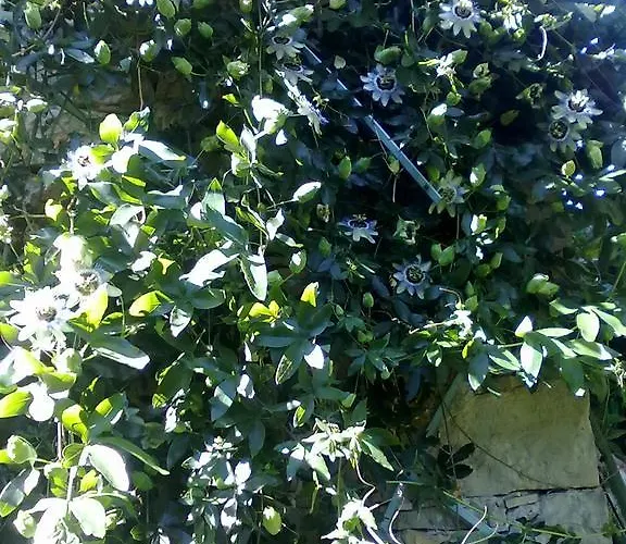 فندق مبيت وإفطار Monpoupon