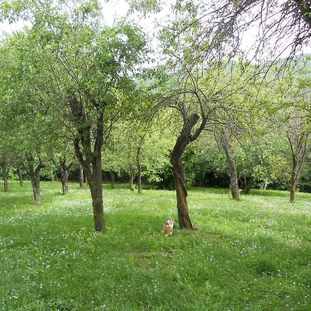 Monpoupon Bed and Breakfast Gropparello