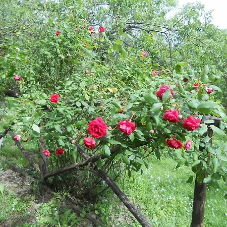 Monpoupon Nocleg ze śniadaniem 3*