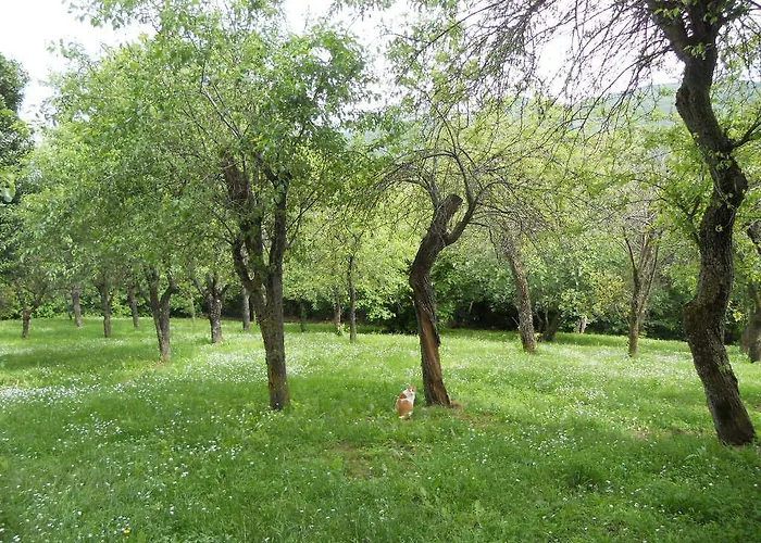 Monpoupon Bed & Breakfast Gropparello